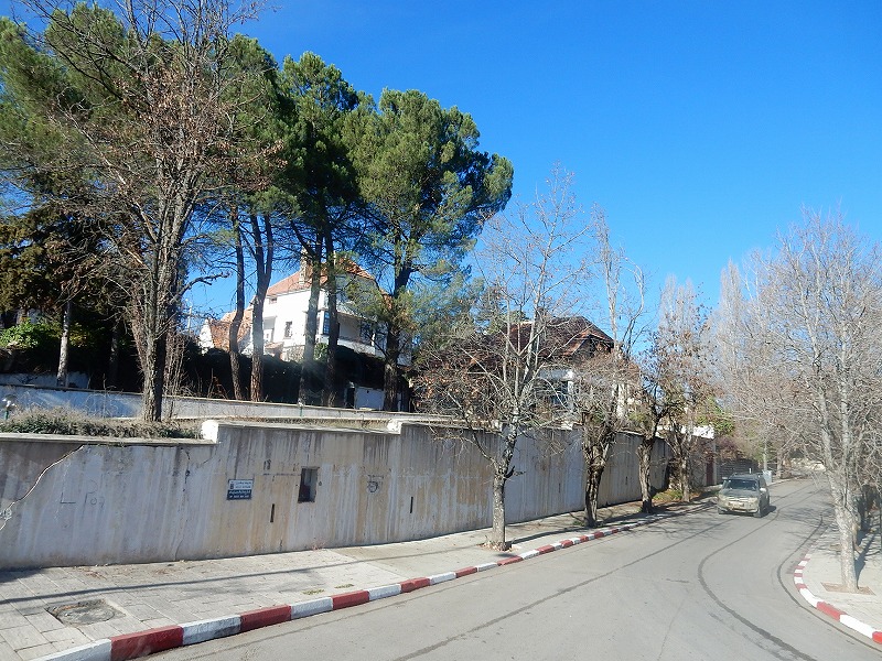 モロッコ(モロッコの避暑地イフレン）