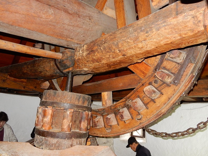 ラ・マンチャとコルドバ、夜はフラメンコ