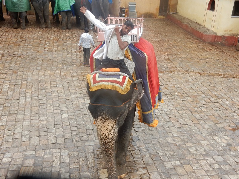 アンベール城で像タクシーの乗りました
