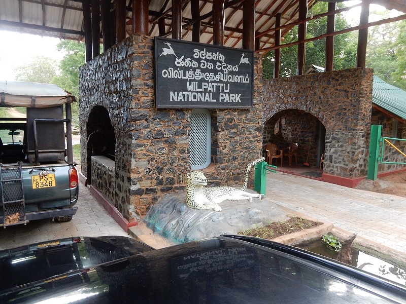 ジープでサファリ見学は楽しい