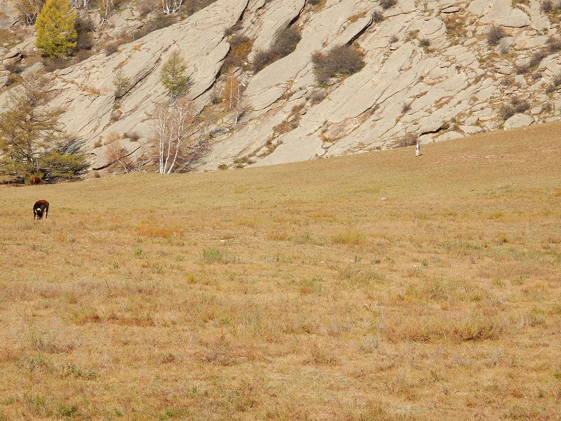 ウランバートル市内観光とお土産探し