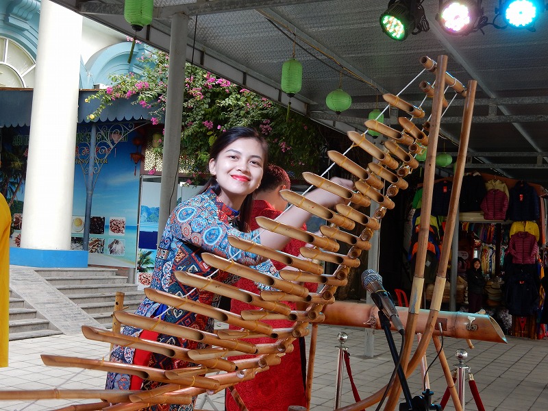 ハロン湾クルーズとチャンアンクルーズ